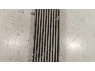 Интеркулер 1489396080 Citroen C8 2.2