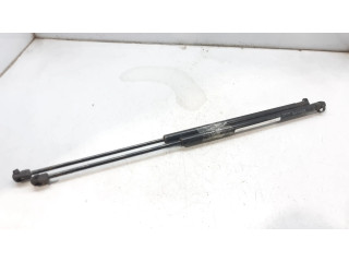 Пружина (пружины) задней крышки