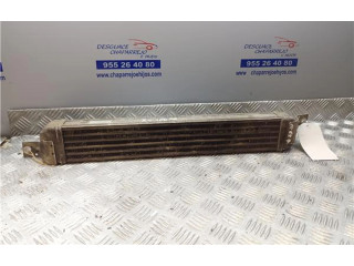 Интеркулер     Opel Meriva A 