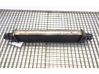 Интеркулер     Fiat Linea 