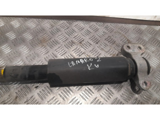 Задний aмортизатор      