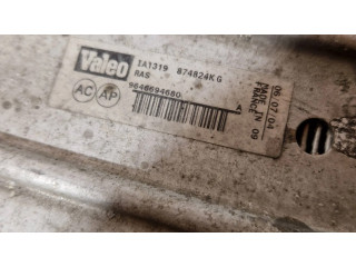 Интеркулер 874824KG, 9646694680 Citroen C4 I 1.6