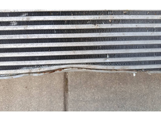 Интеркулер 8578146 BMW X3 G01