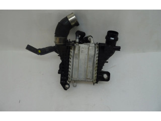 Вентилятор радиатора     144967867R    Renault Dacia Duster 