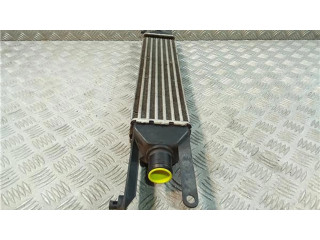 Интеркулер 51785221 Fiat Linea