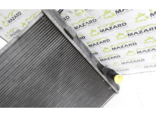   Pojistková skříňka 1330Q5   Citroen C3 Pluriel 2008