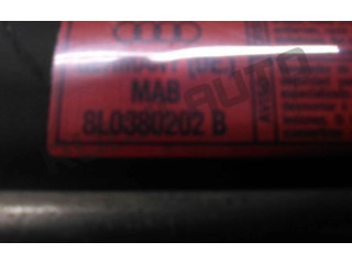 Подушка безопасности пассажира 8L0880202B   Audi A3 S3 8L