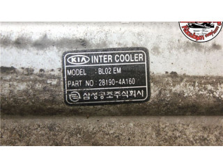 Интеркулер 28190-4A160 KIA Sorento