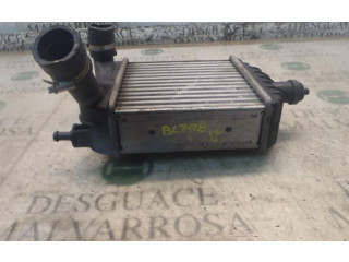 Интеркулер     Fiat Idea 