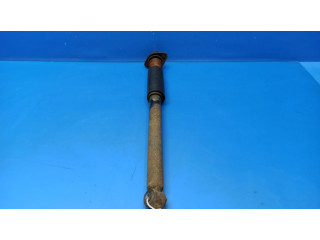 Задний aмортизатор