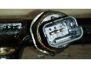 Топливная рампа    Citroen C4 Grand Picasso 2.0 