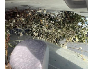 Моторчик дворников 7701055893    Renault Trafic II (X83)