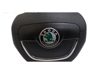 Подушка безопасности водителя 1Z0880201AK Skoda Octavia Mk2 (1Z)