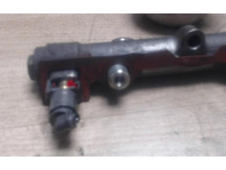 Vstřikovací lišta Renault Megane II