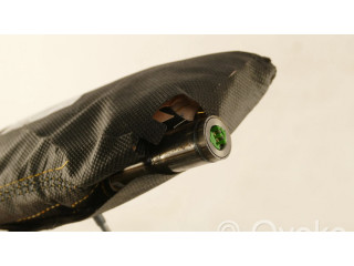 Подушка безопасности в сиденье 34173804A Dacia Sandero