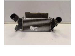 Интеркулер H1BG6K775AC Ford Ecosport