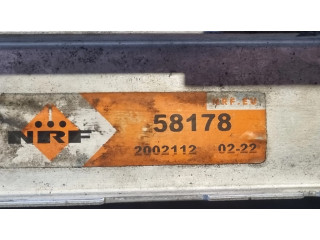 Радиатор охлаждающей жидкости