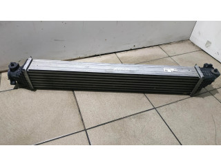 Интеркулер 197105AAA01, 197105AA Honda Civic X 1.5