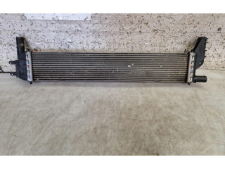 Блок АБС 214108831R, 214108831R   Dacia  Duster  2010 - 2017 года