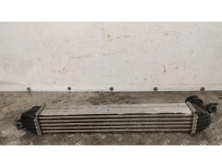 Интеркулер 1751850690402 Mini Cooper Countryman R60 1.6