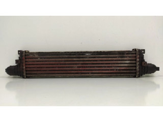 Интеркулер     Citroen Berlingo 1.9