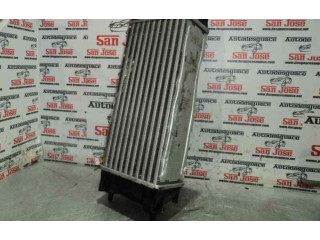 Интеркулер     Citroen Berlingo 