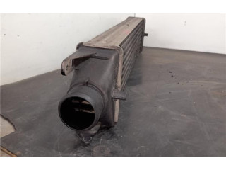 Интеркулер Fiat Marea