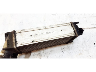 Интеркулер 9656503980, 992507M Nissan Pathfinder R51