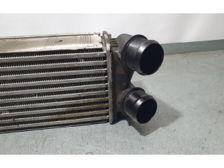 Интеркулер  9800291280, MM117WDM   Citroen Berlingo 1.6