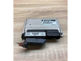 Блок управления двигателем Блок управления 3911002425   Hyundai Getz
