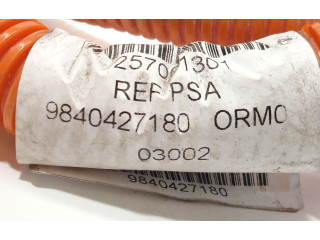 Блок управления 9840427180 Peugeot Partner III