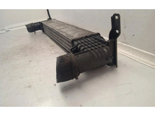 Интеркулер SINREF Seat Alhambra (Mk1)