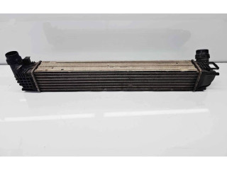 Интеркулер 8200880552 Dacia Duster