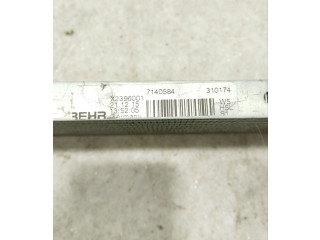 Vstřikovač 7P0317019A, R525 Porsche Cayenne (92A) MCG.EA