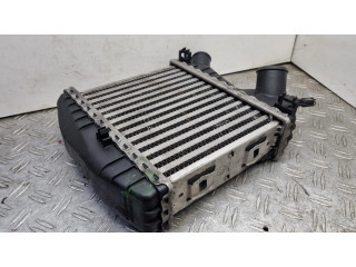 Интеркулер 0002490V005 Smart ForTwo I 0.8