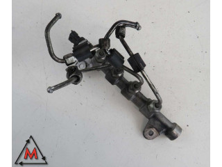 Топливная рампа 0445214254, 55234039 Alfa Romeo Giulietta