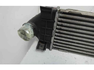 Интеркулер Ford S-MAX