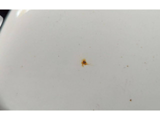 Зеркало электрическое Skoda Superb B6 (3T) 2008 - 2015 года