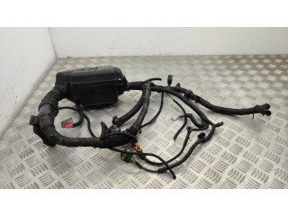 Блок предохранителей     Fiat 500L    