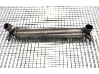 Интеркулер Y3427002 Skoda Rapid (NH)