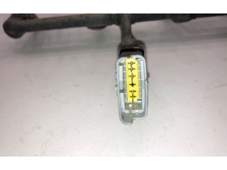 Комплект форсунок 9655833580 Citroen C2