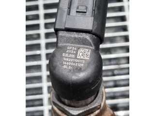 Жиклер (жиклеры) (форсунка (форсунки) H8201100113, 166006212R Dacia Duster