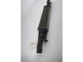 Интеркулер     Fiat Grande Punto 