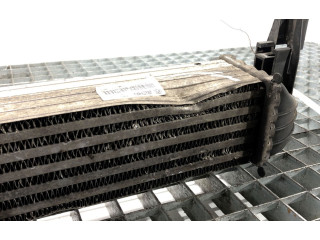 Интеркулер Y3427002 Skoda Rapid (NH)