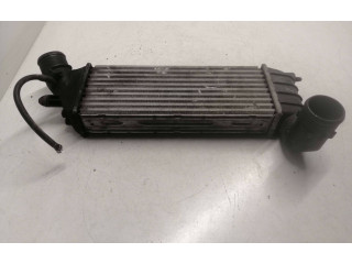 Čerpadlo oleje Citroen C8