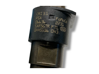 Комплект форсунок 0445116043, CSTMT Jaguar XF X250 224DT