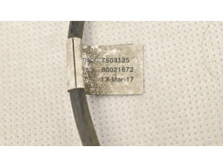 Передний датчик открытия / закрытия двери (крыло) 1041595-00-D Tesla Model X