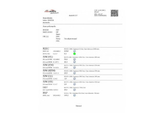 Vstřikovač 0445110183, 0445110183 Fiat Punto (199)