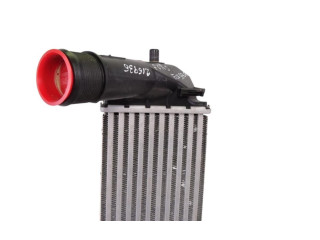 Интеркулер  H1BG6K775AC   Ford Ecosport 