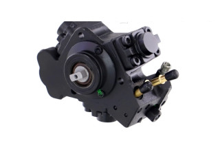 Топливный насос 0445010243, 0445010243   Lancia Ypsilon  